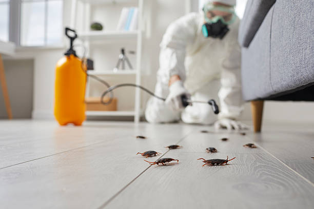 Post-Treatment Bed Bug Interceptor Monitoring in Pennville