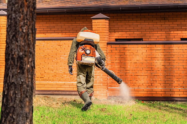 Bed Bug Clearance Verification and Documentation in Pennville